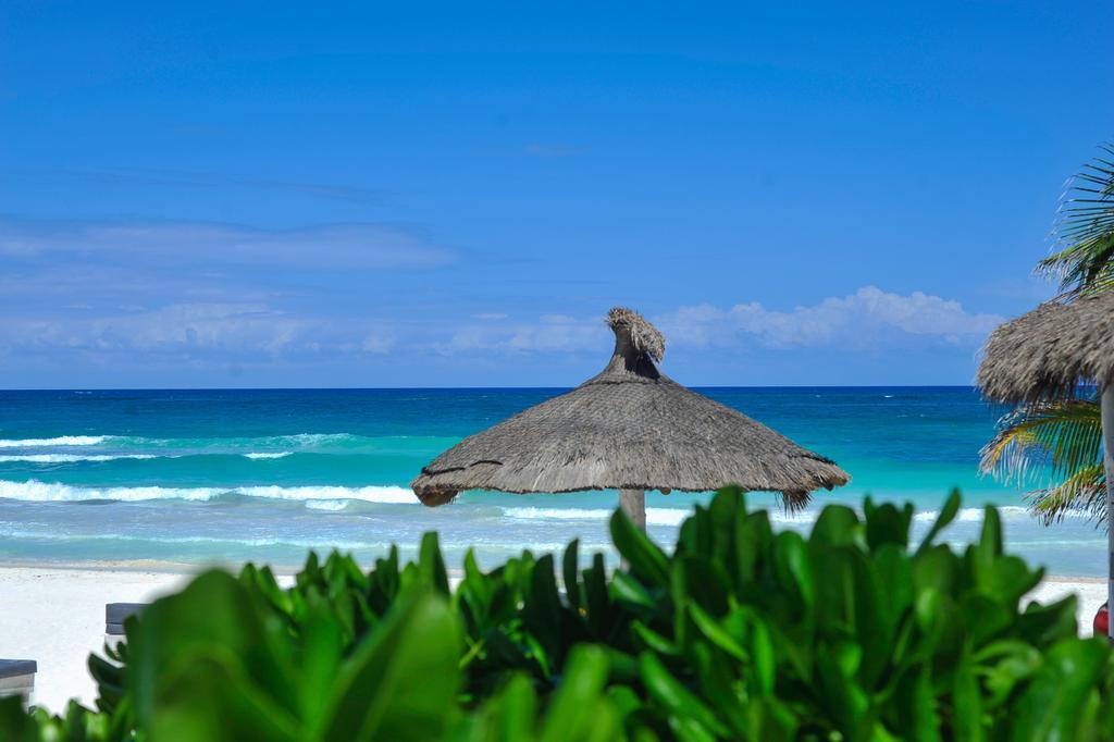 فندق تولومفي  Playa Mambo Eco Cabanas المظهر الخارجي الصورة