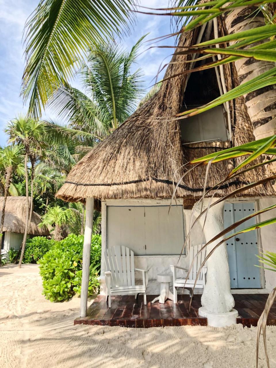 فندق تولومفي  Playa Mambo Eco Cabanas المظهر الخارجي الصورة