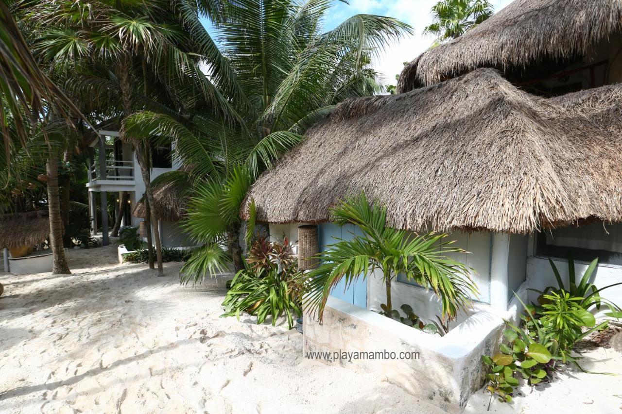 فندق تولومفي  Playa Mambo Eco Cabanas المظهر الخارجي الصورة