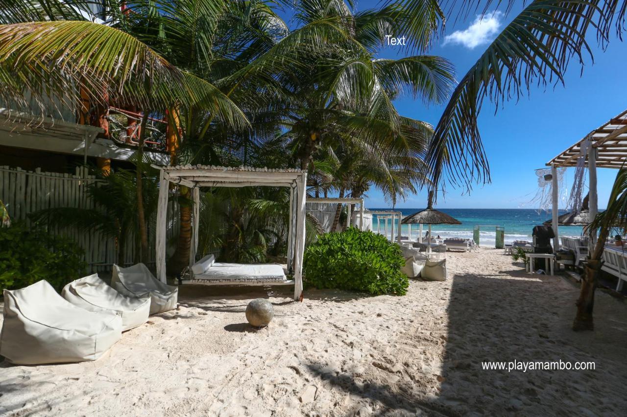 فندق تولومفي  Playa Mambo Eco Cabanas المظهر الخارجي الصورة