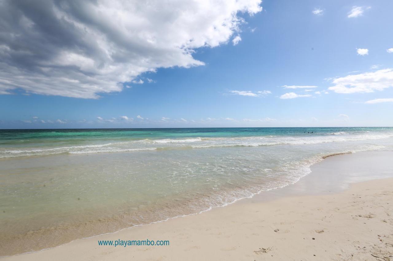 فندق تولومفي  Playa Mambo Eco Cabanas المظهر الخارجي الصورة