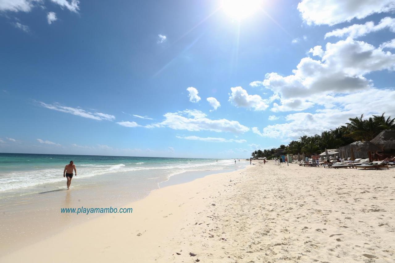 فندق تولومفي  Playa Mambo Eco Cabanas المظهر الخارجي الصورة