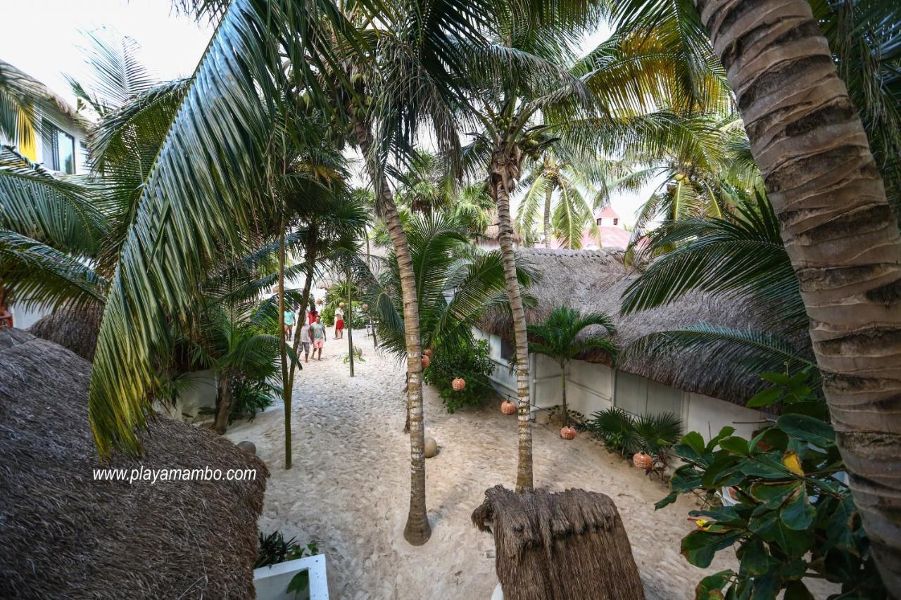 فندق تولومفي  Playa Mambo Eco Cabanas المظهر الخارجي الصورة