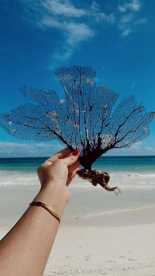 فندق تولومفي  Playa Mambo Eco Cabanas المظهر الخارجي الصورة